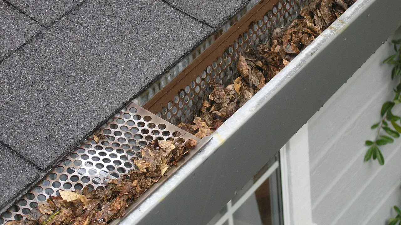 Gutter filled with dry autumn leaves under a gutter guard